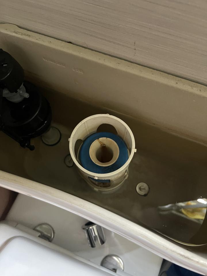 馬桶安裝工作照片