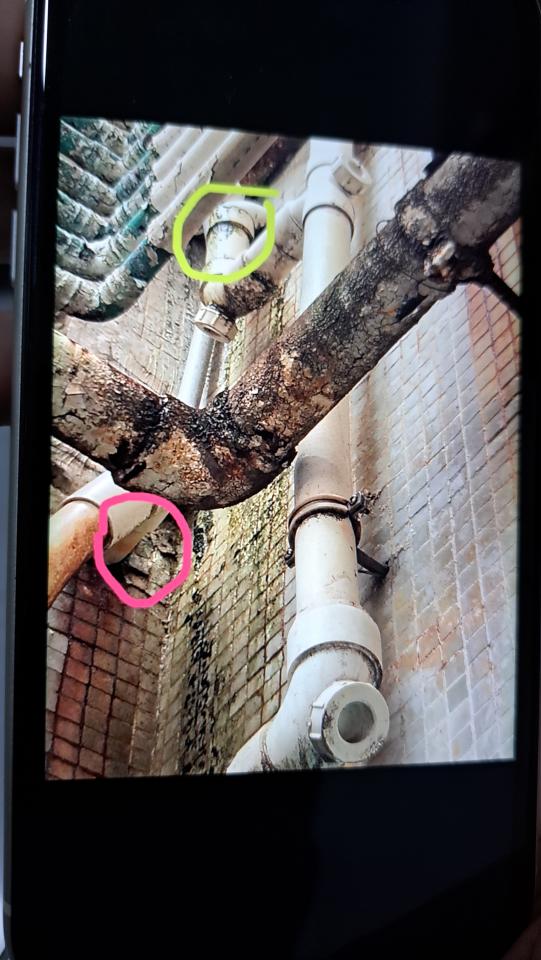 Electricity & PlumbingJob photo