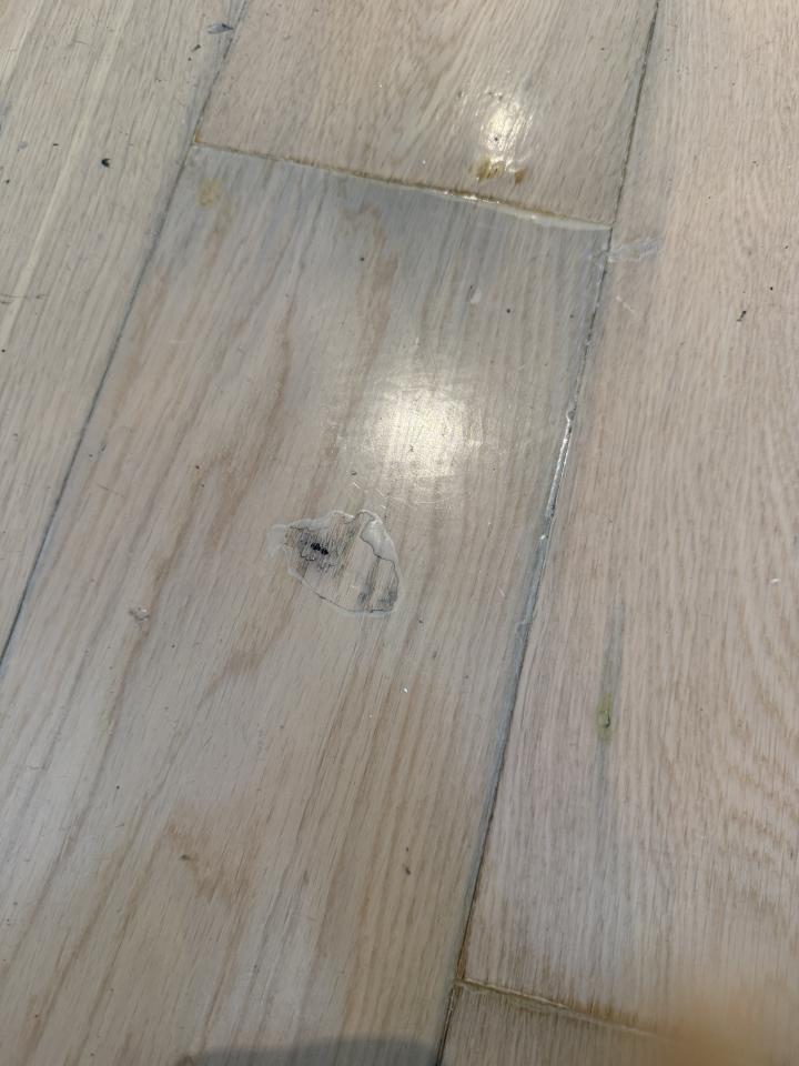 Wood Floor RestorationJob photo