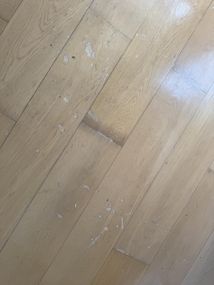 Wood Floor RestorationJob photo