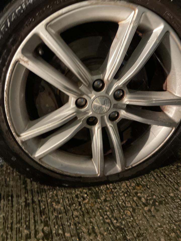 救車服務工作照片