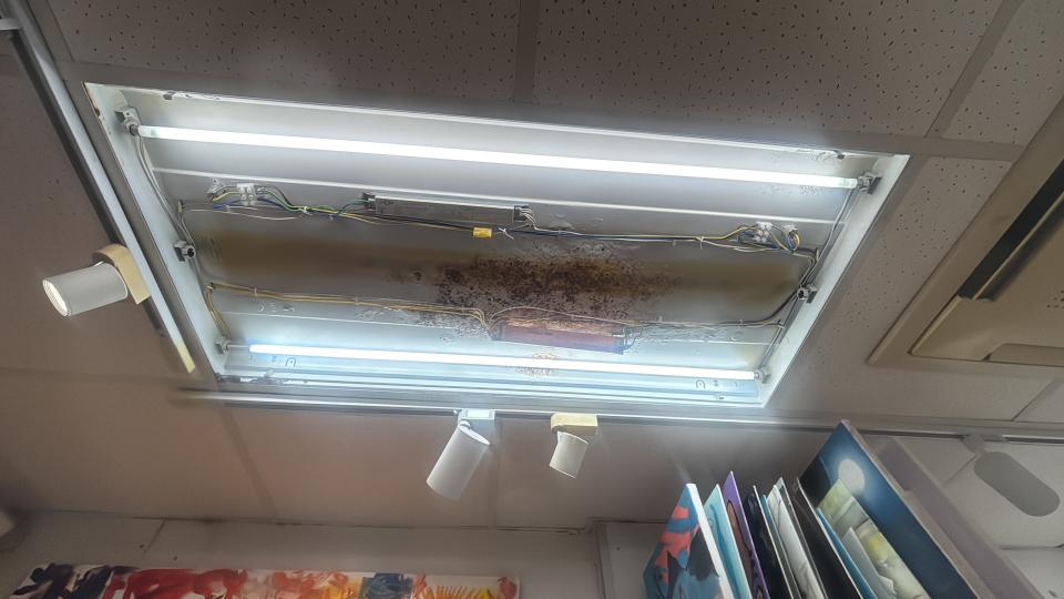 燈飾維修工作照片
