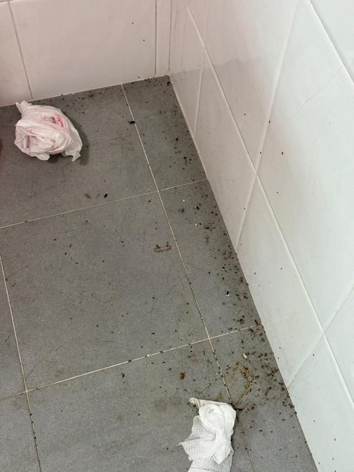 洗冷氣工作照片