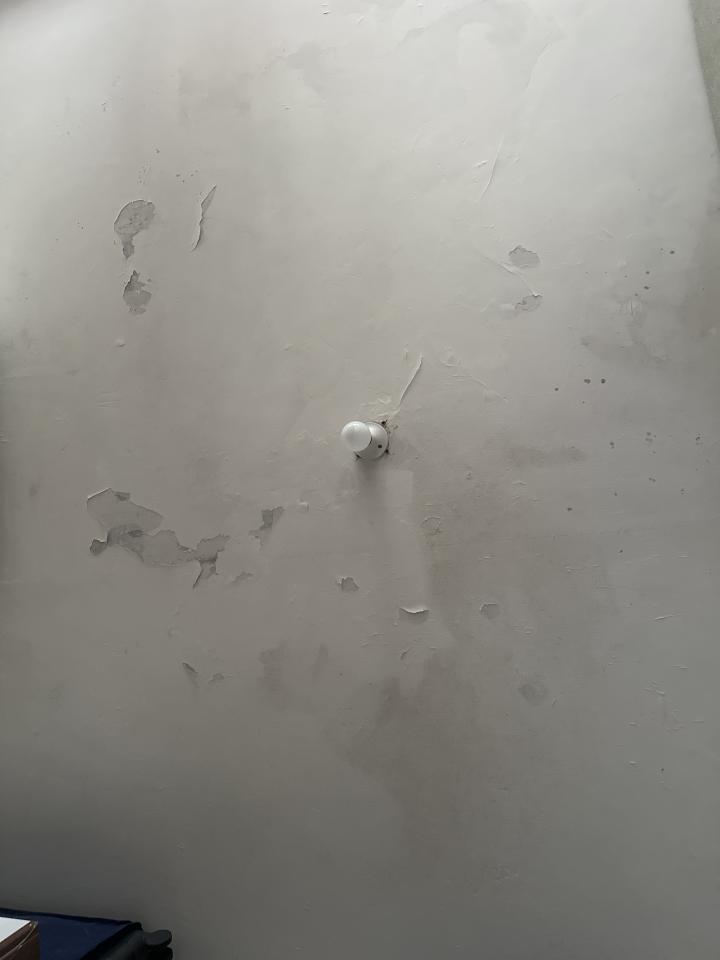 Ceiling RenovationJob photo