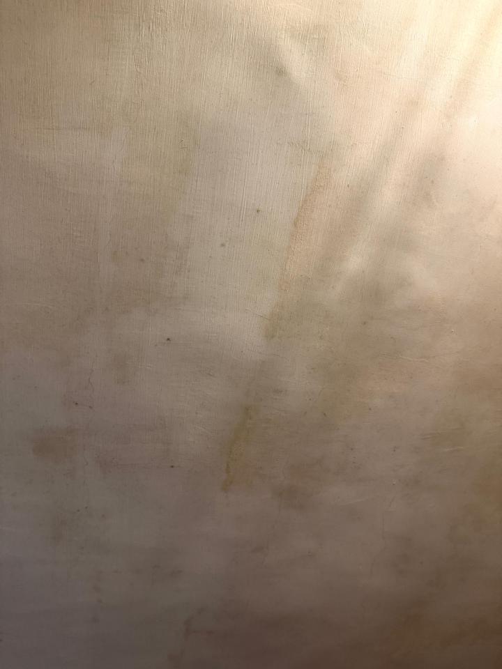 除霉工作照片