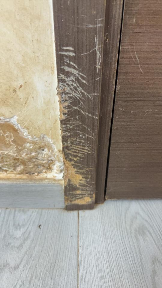 CarpentryJob photo