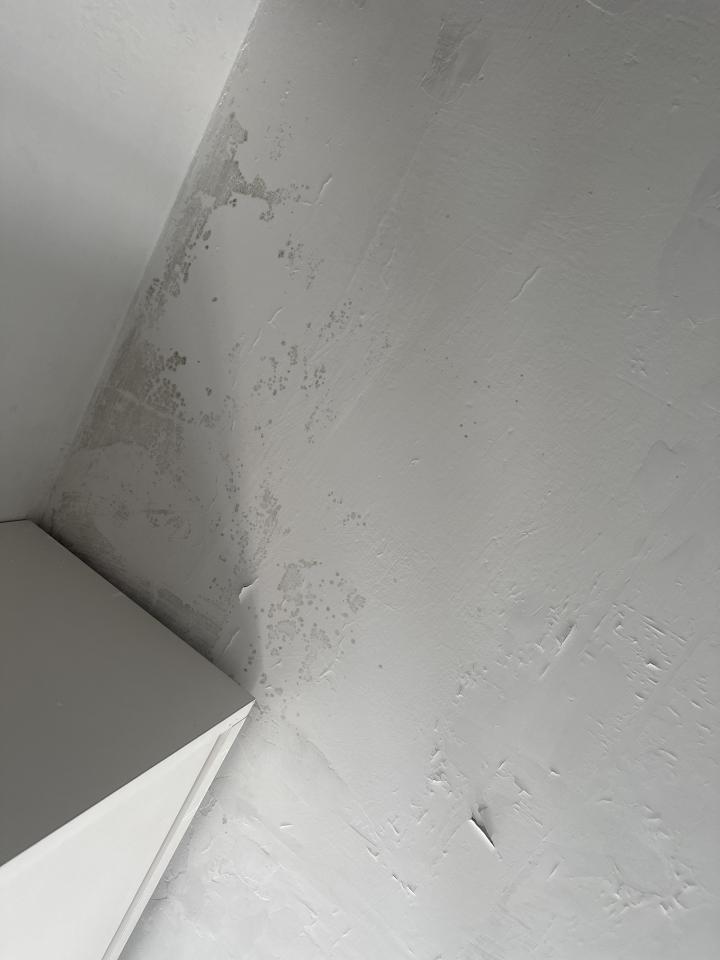 Ceiling RenovationJob photo