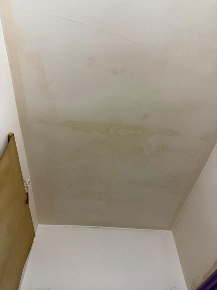 除霉工作照片