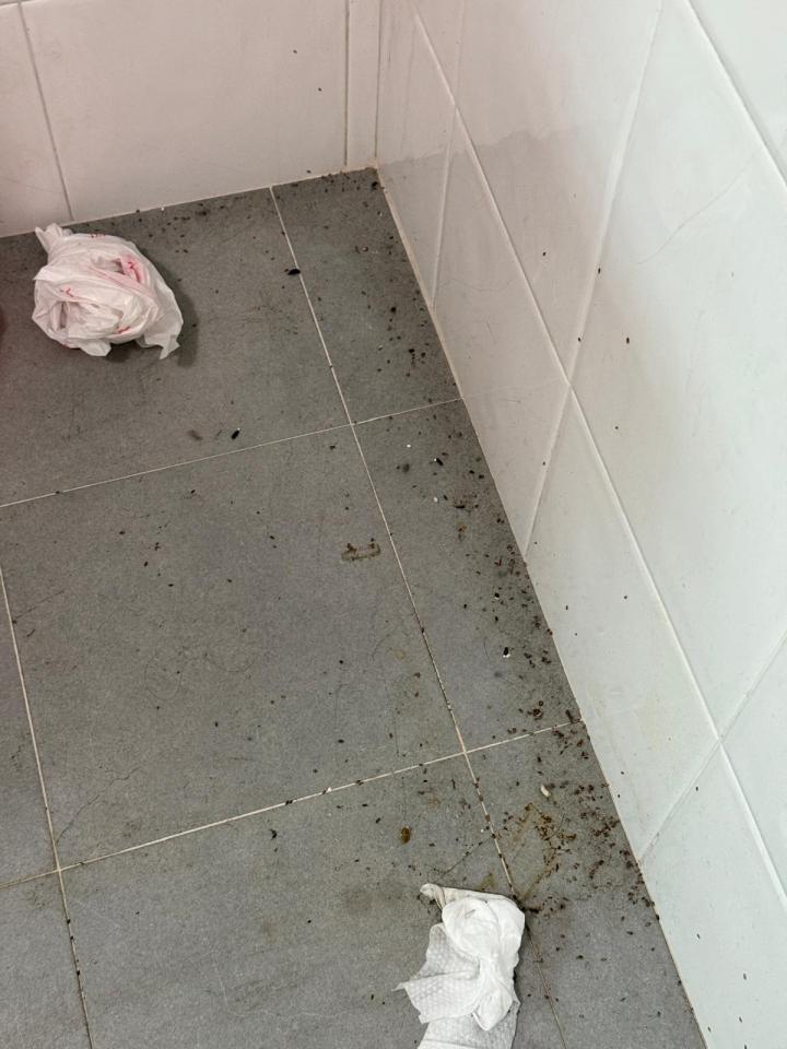 除霉工作照片