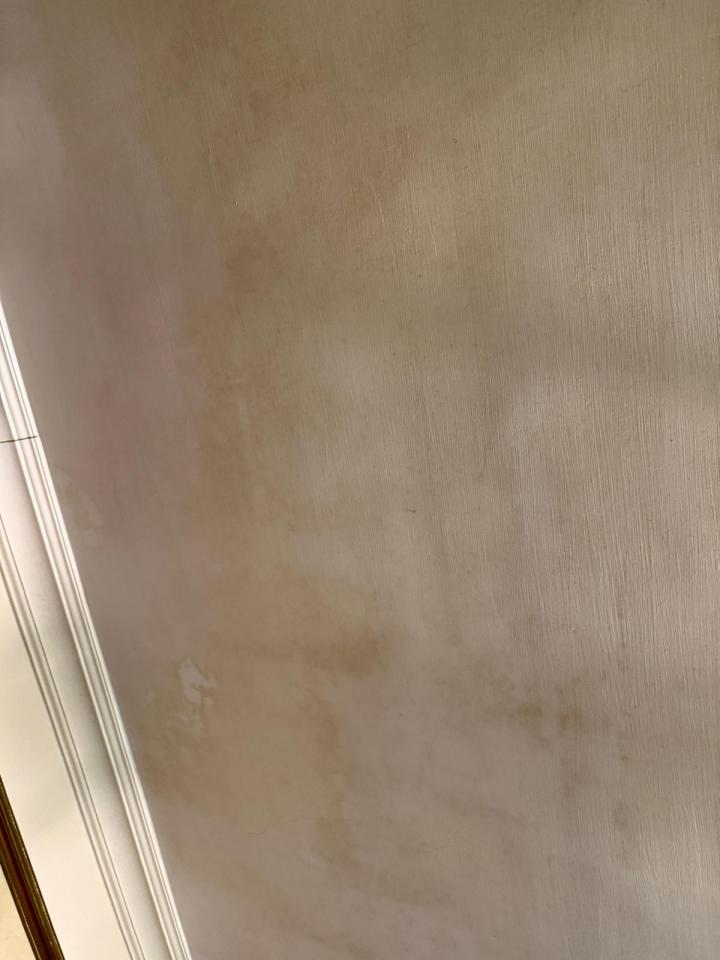 除霉工作照片