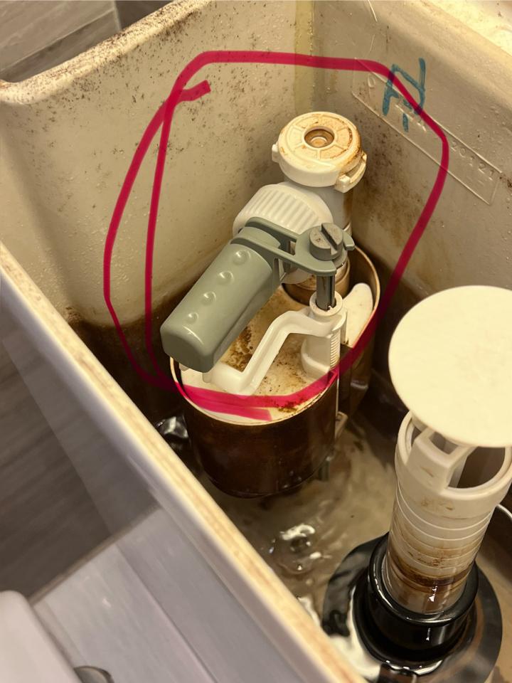 Toilet Installation & RepairJob photo