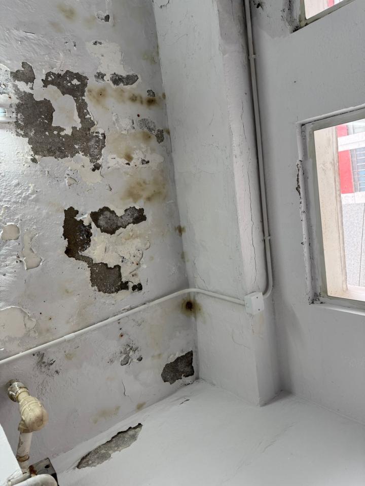 Ceiling RenovationJob photo