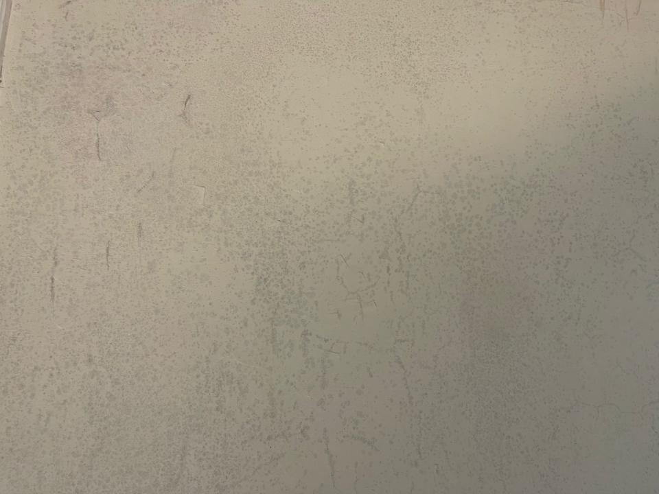 除霉工作照片