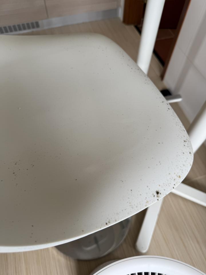 Mold Removaljob photo Mold Removaljob photo