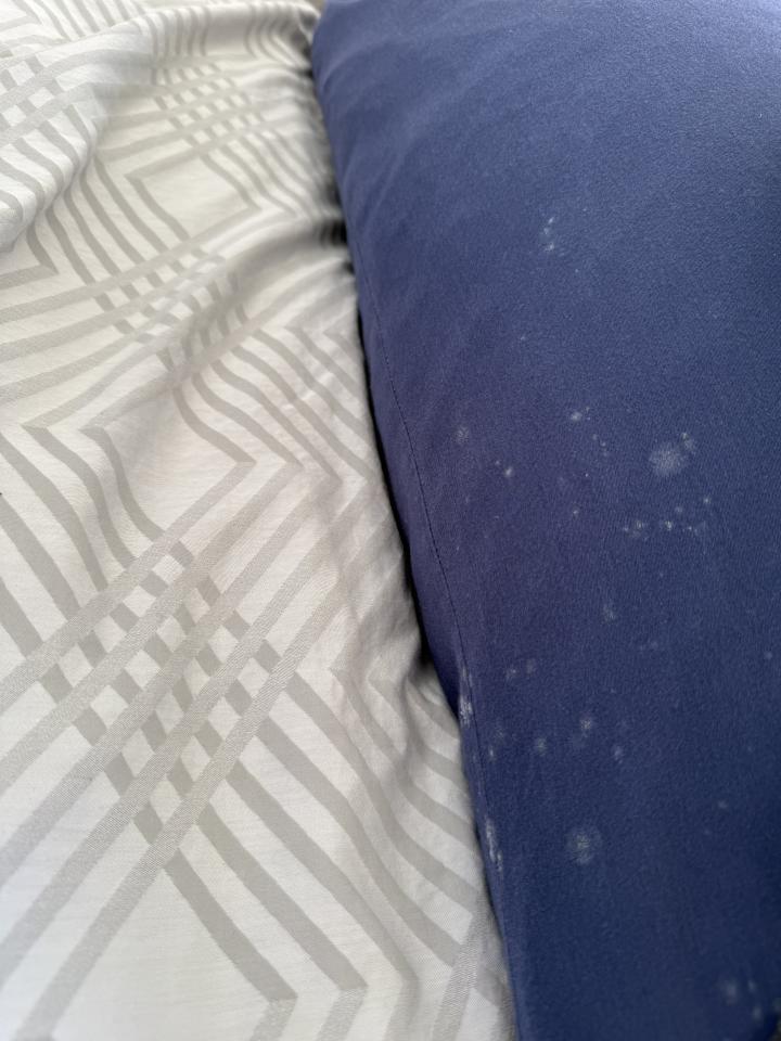 Mold Removaljob photo Mold Removaljob photo