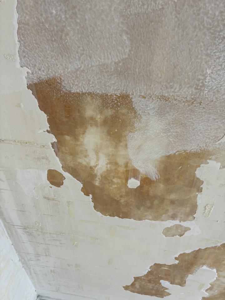 Wall Paintingjob photo Wall Paintingjob photo