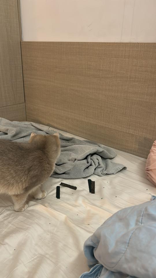 冷氣維修工作照片