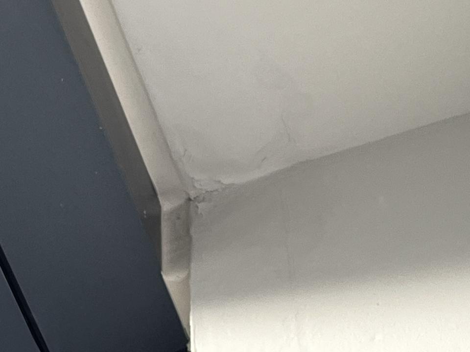 Wall PaintingJob photo