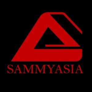提供遊戲設計香港服務的專家Sammyasia Engineering Limited