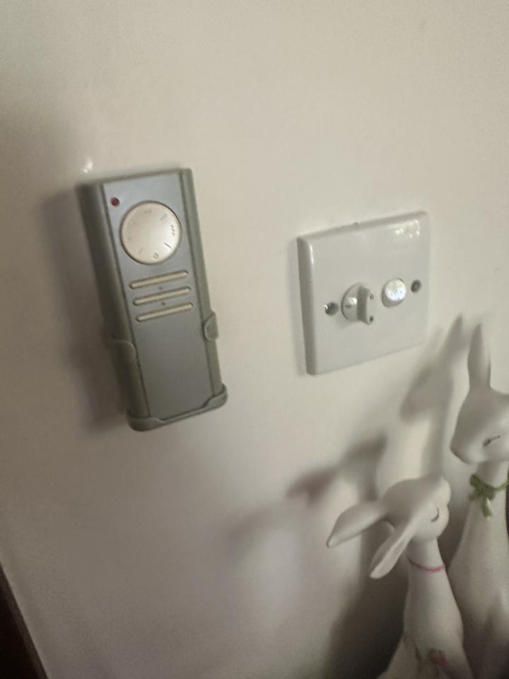 Ceiling Fan Light InstallationJob photo