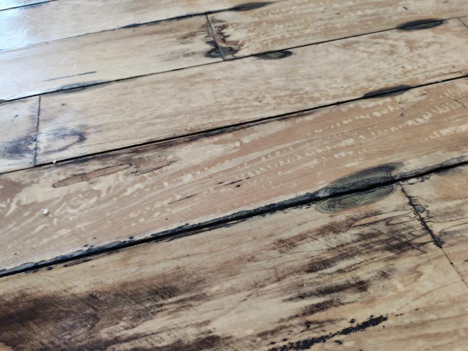 Flooring RepairJob photo