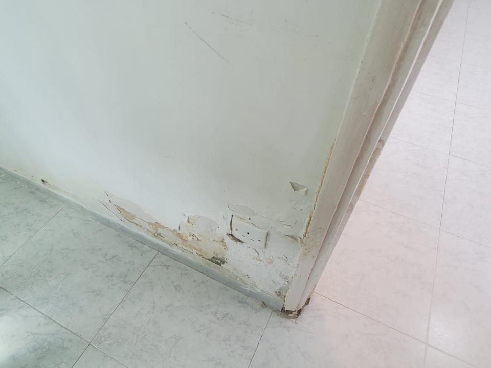 Wall PaintingJob photo