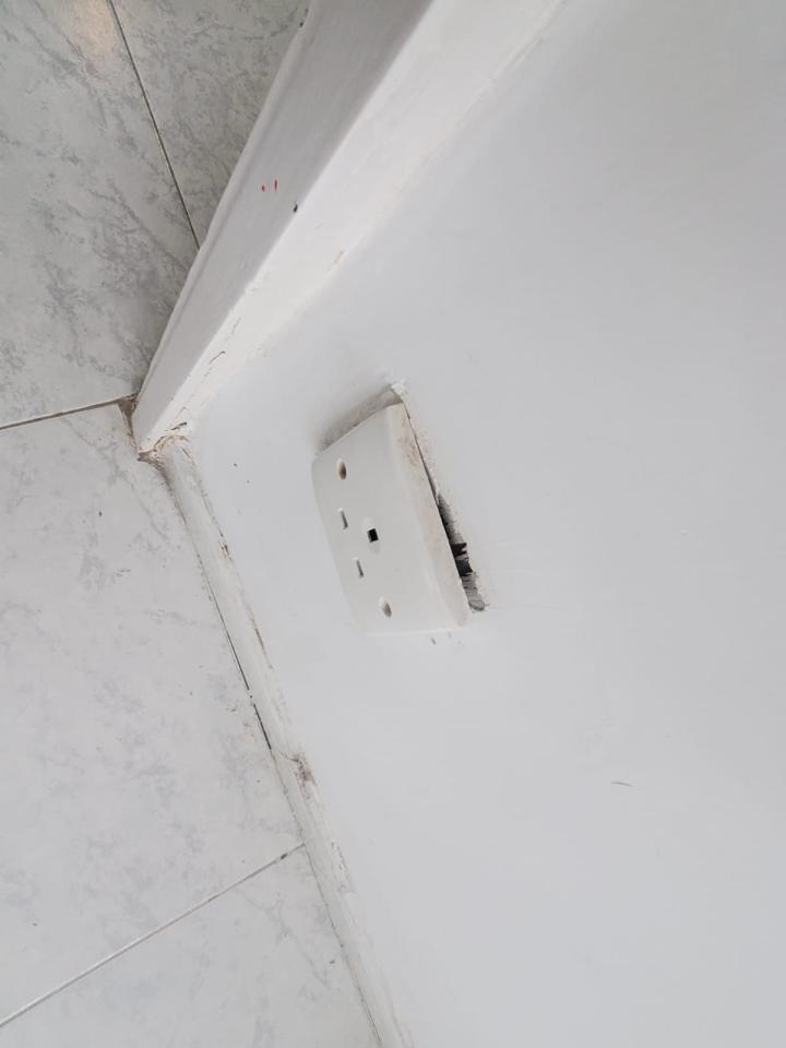 Wall PaintingJob photo