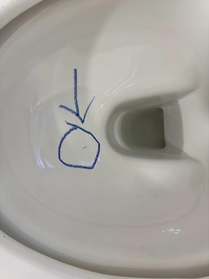 Toilet Installation & Repairjob photo Toilet Installation & Repairjob photo