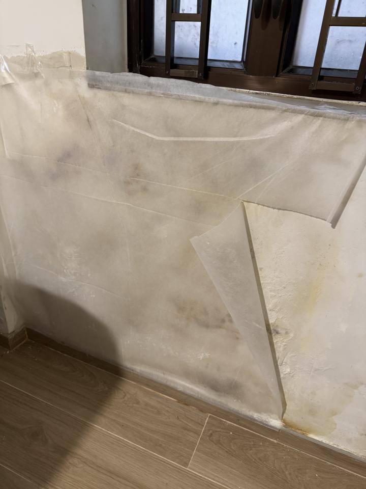 Wall PaintingJob photo