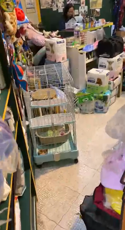 店鋪清潔工作照片