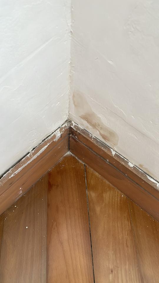Wall PaintingJob photo