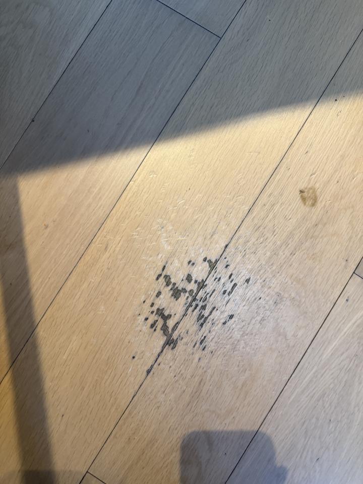 木地板打磨翻新工作照片