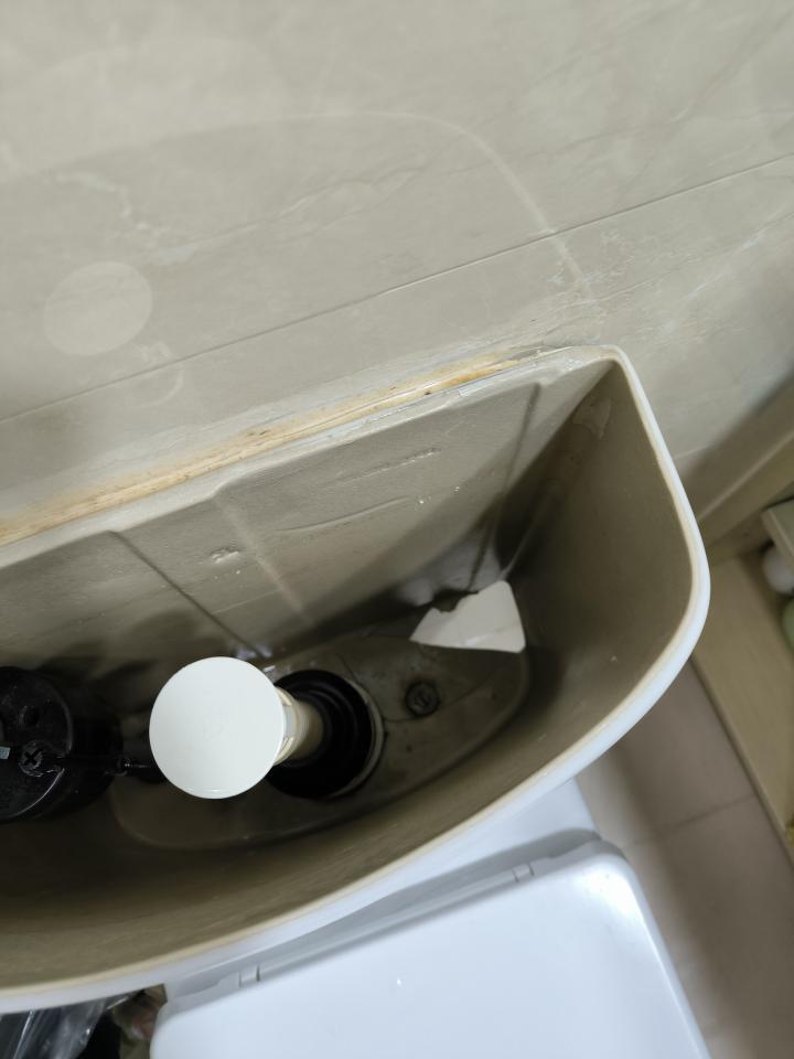 Toilet Installation & RepairJob photo