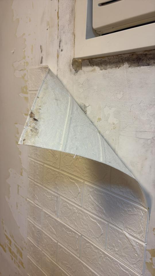 Wall Paintingjob photo