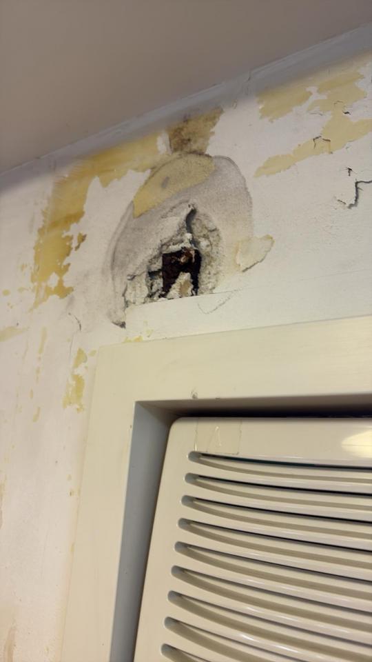 Wall Paintingjob photo