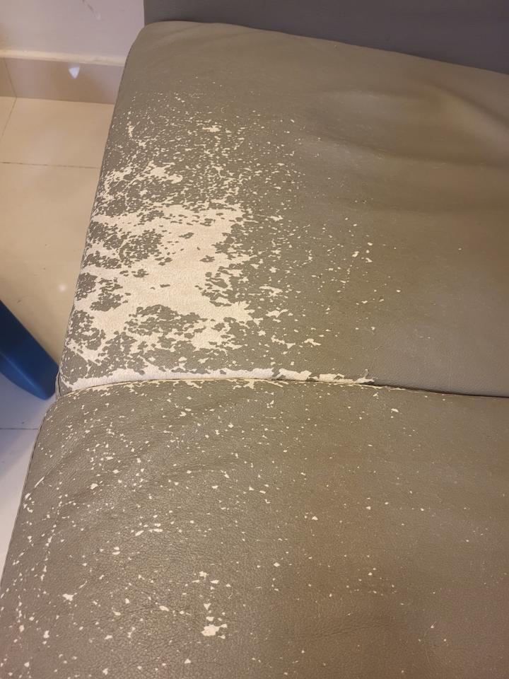 梳化清潔工作照片