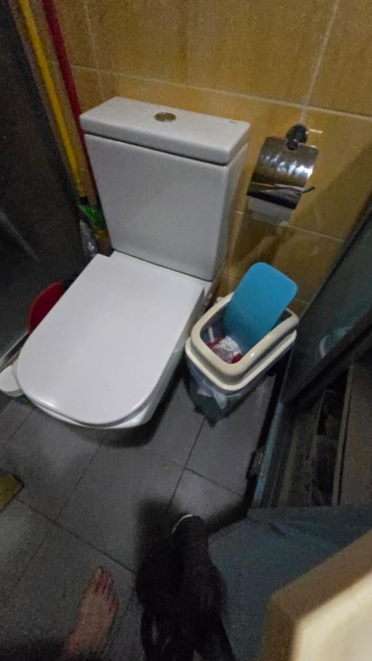 馬桶安裝工作照片