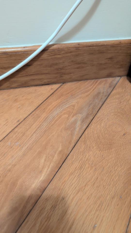 地板工程工作照片