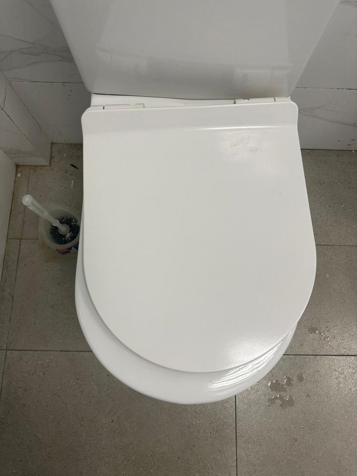 馬桶安裝工作照片
