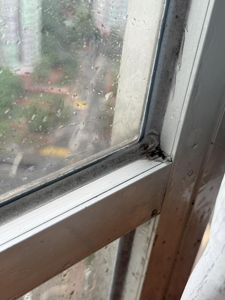 Windows RepairJob photo