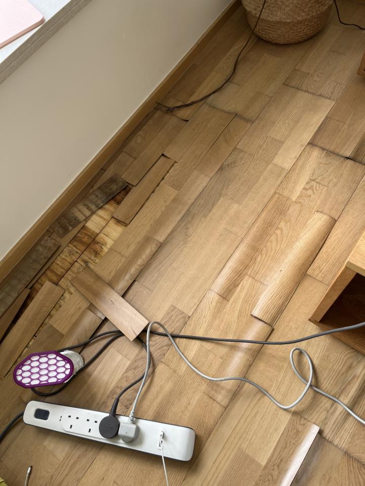 地板維修工作照片