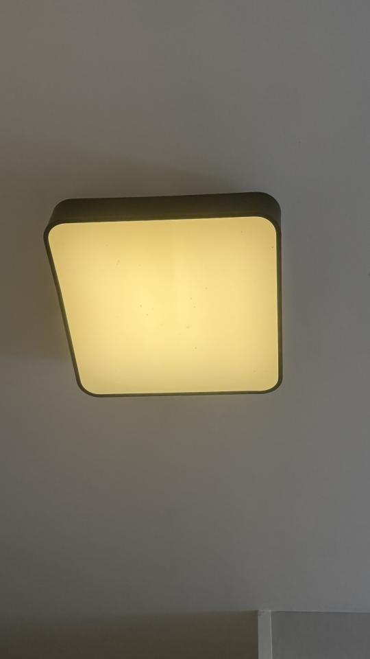 燈飾維修工作照片