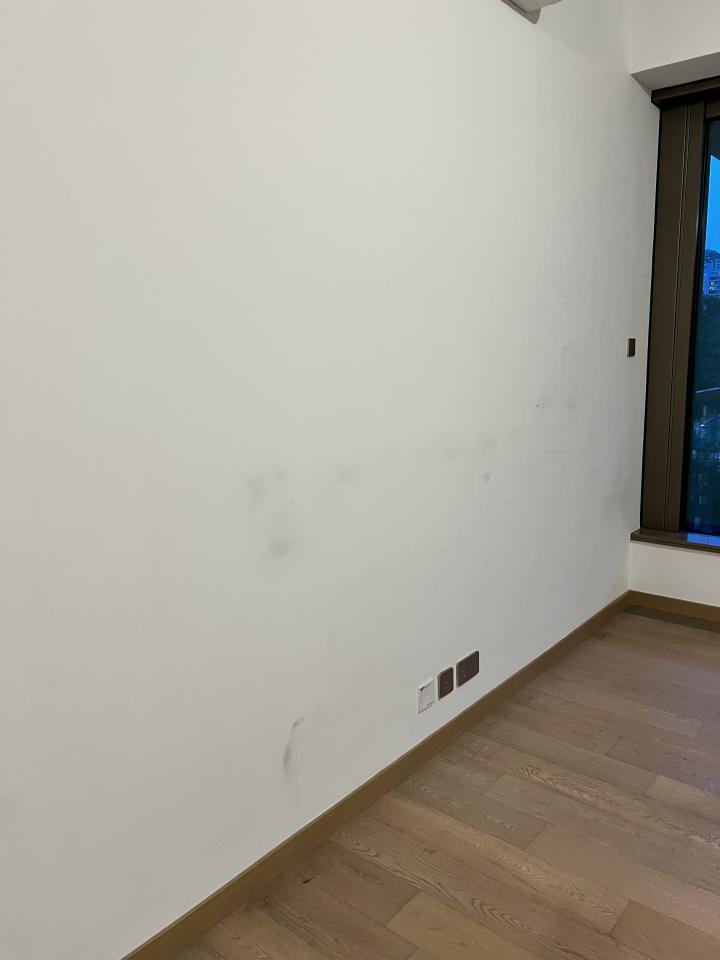 Wall PaintingJob photo