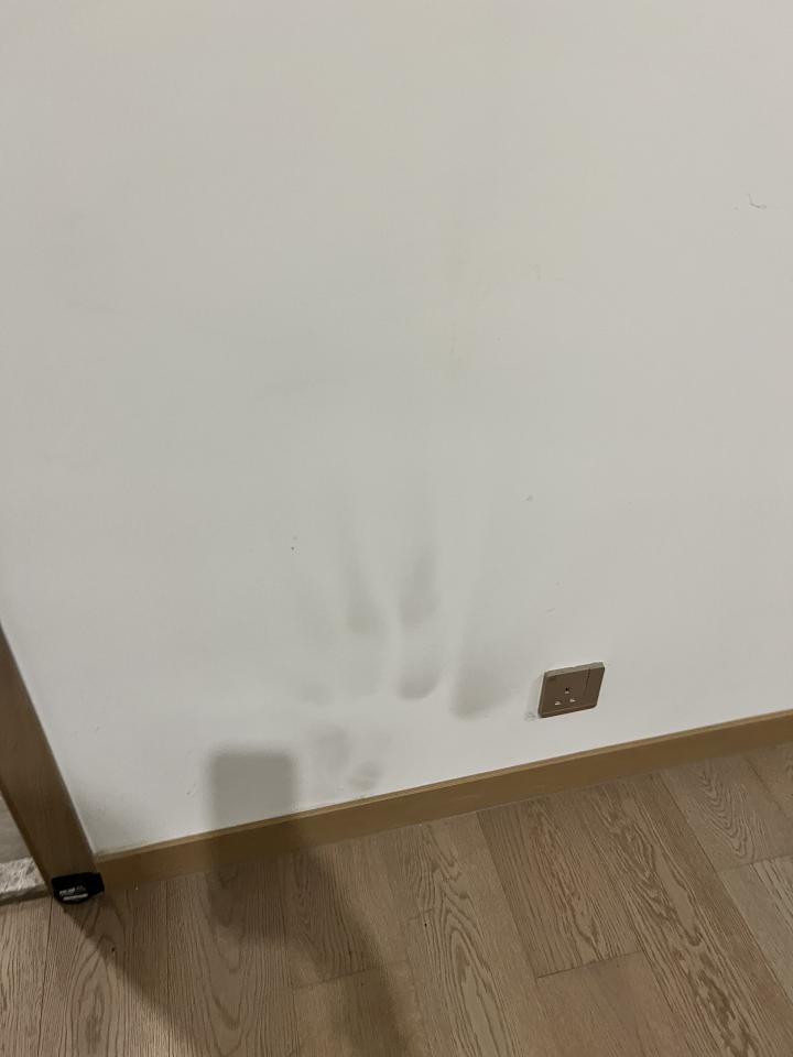 Wall PaintingJob photo