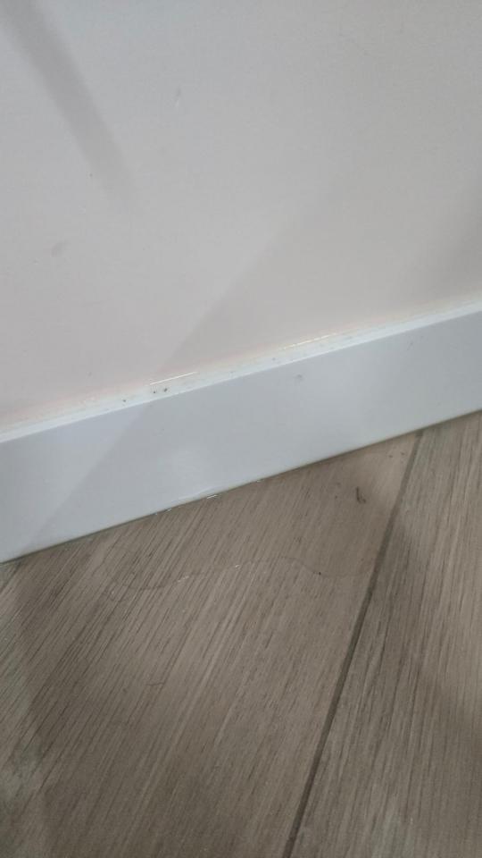水喉水務工作照片