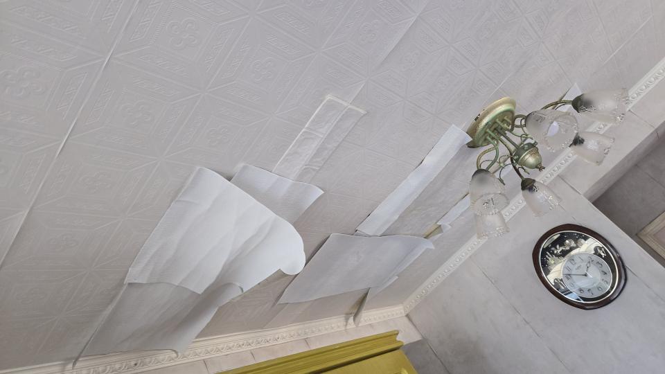 Wallpaperjob photo