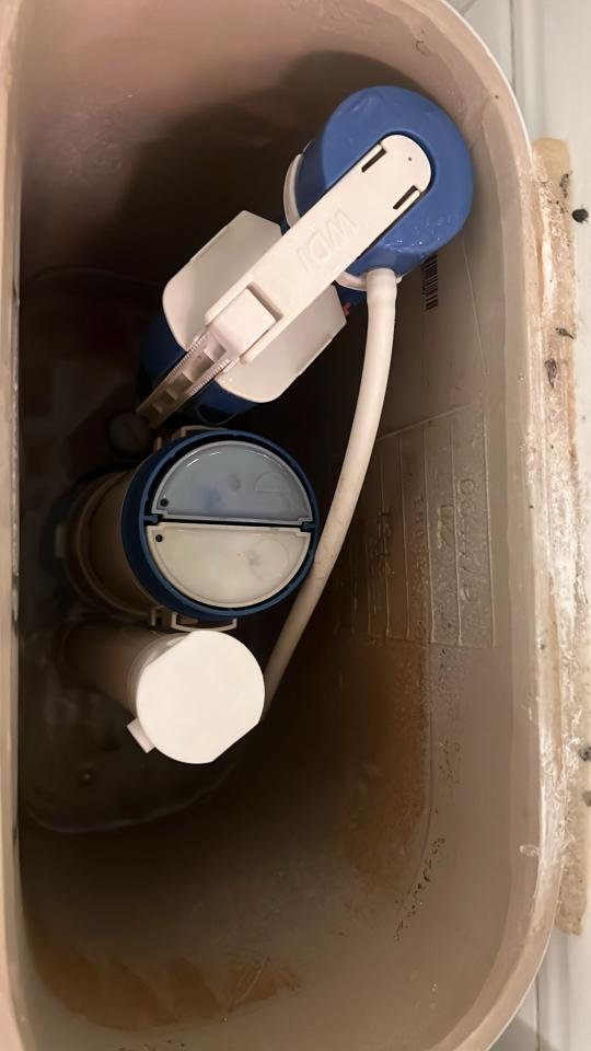 Toilet Installation & RepairJob photo