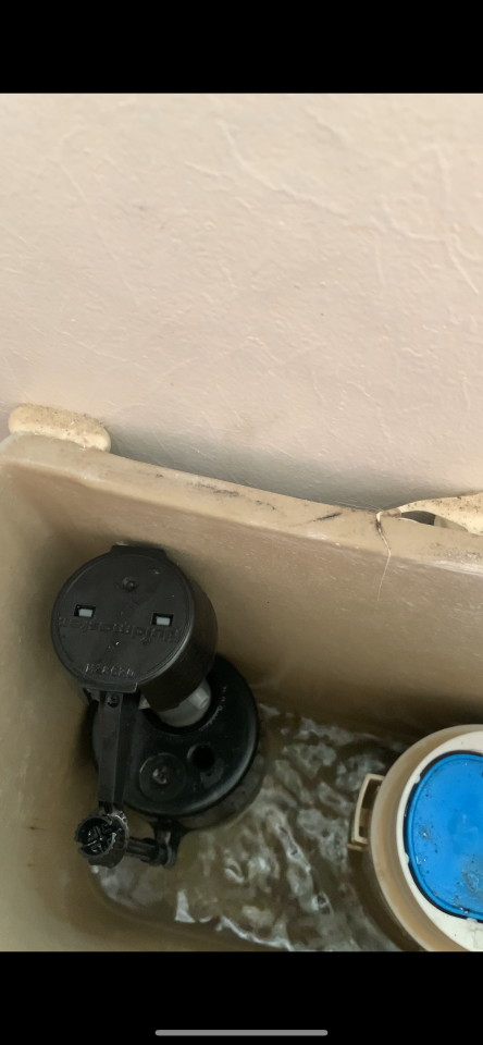 Toilet Installation & Repairjob photo