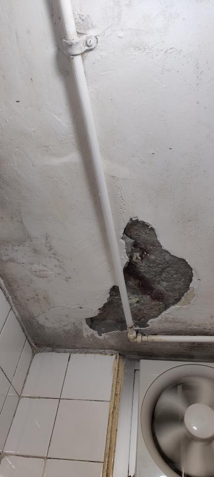 Ceiling RenovationJob photo