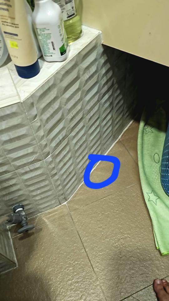 漏水維修工作照片